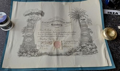 Original Hamburgensie 1842 Urkunde Peter Suhr gezeichnet graviert Lithographie
