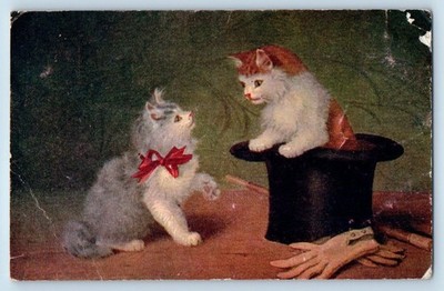 Grass Valley Oregon OR Postcard Cute Cat Kittens In Hat 1909 Posted Antique