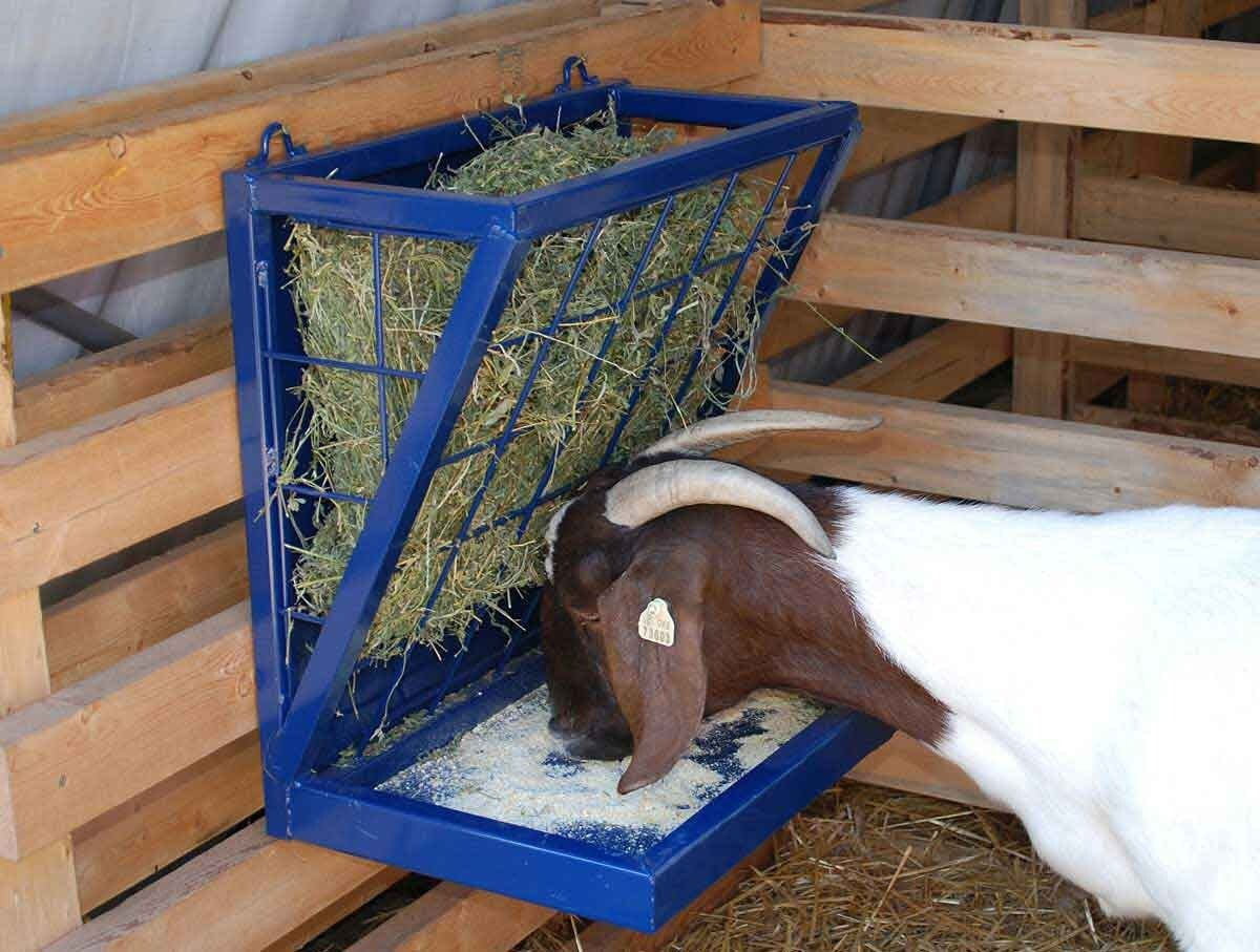 Combination Feeder Goats Powder coated steel holds hay grain
