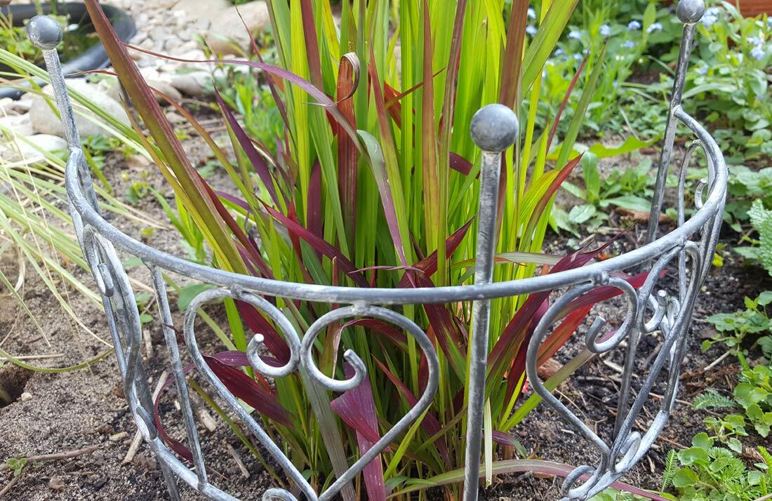 Kapaga Rankgitter 200cm Schwarz - Stabile Rankhilfe Für Kletterpflanzen Im Garten