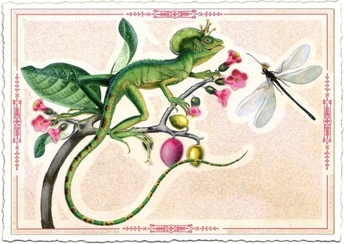 Edition Tausendschön | Postkarte A6 | Flora & Fauna | Motiv wählbar - Bild 65 von 78