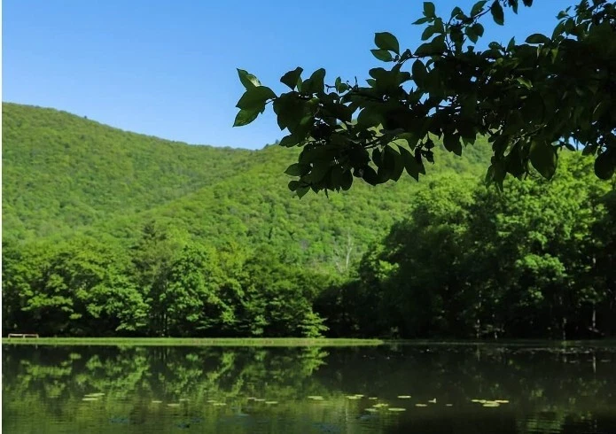 Muck Removal Pond Bacteria Powder, 5x Concentrated, For Fresh Water Ponds, 1 lb. - Image 3 of 4