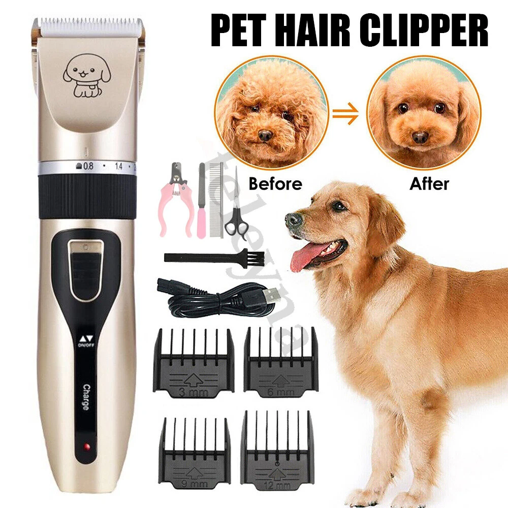 Trimmer golden retriever 2025
