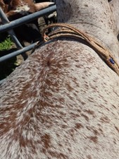 Right handed Bull Rope Bullrope rope Bull Riding Gear Rodeo Equipment