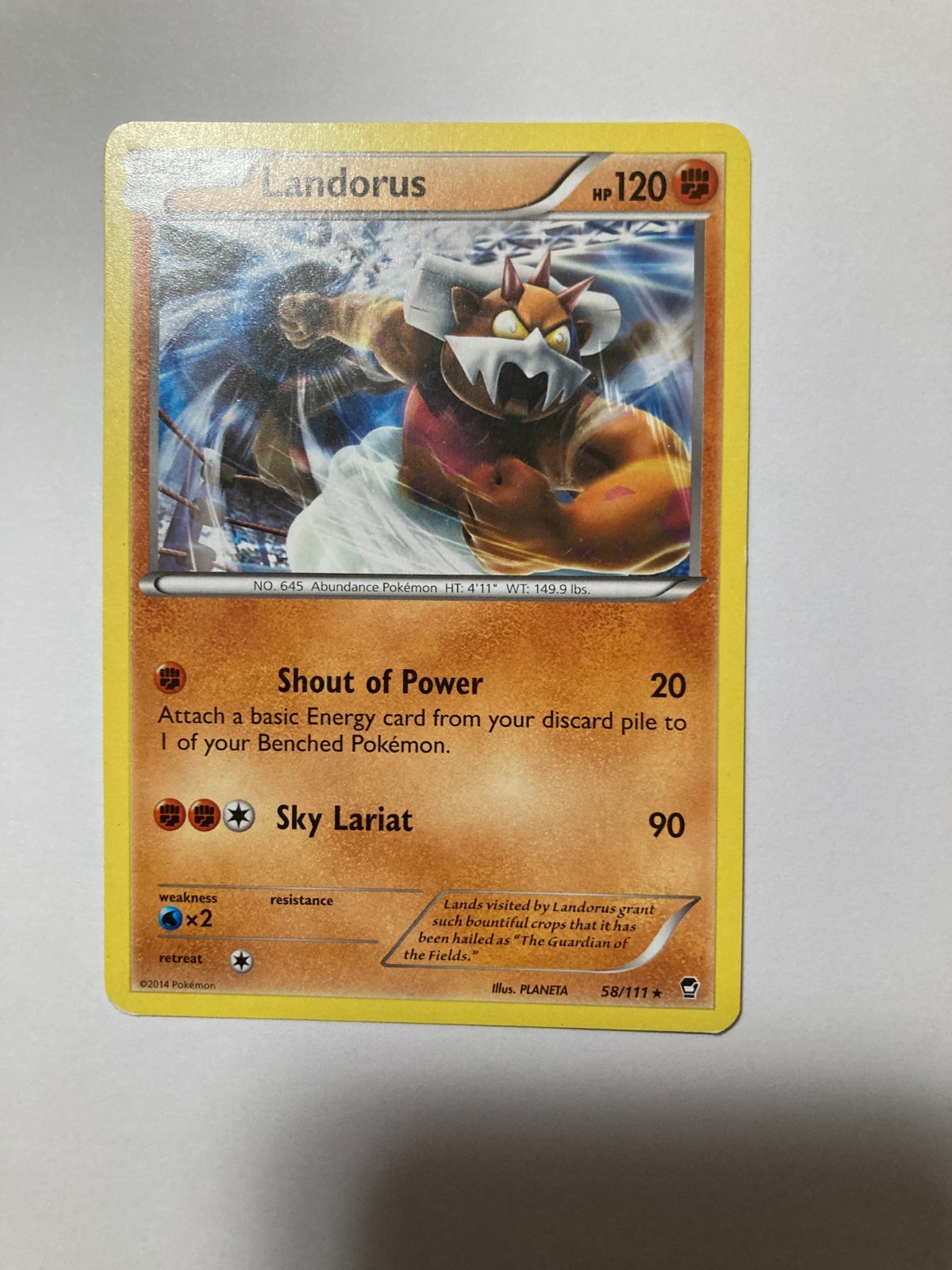 Pokemon Card Landorus 58/111 2014