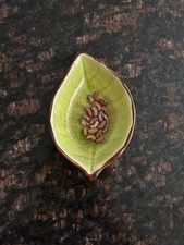 20 Yardlong Bean Seeds