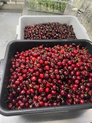 Southern Cherry Butter, 16oz, Premium Quality Goods by The Lady May - Picture 9 of 9
