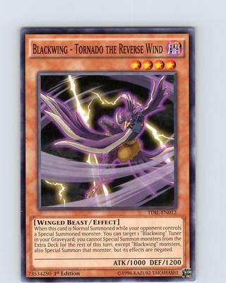 Yu-Gi-Oh Blackwing - Tornado The Reverse Wind TDIL-EN012 1st Edition Common NM