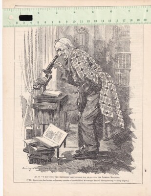    Vintage Druck, Mr. Gladstone, 1894, 20,7 x 27,5 cm.  Wir verkaufen garantiert...