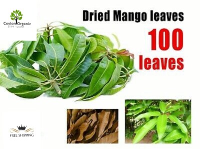 ORGANIC Dried Mango Leaf for tea Homemade From Sri Lanka leaves ...
