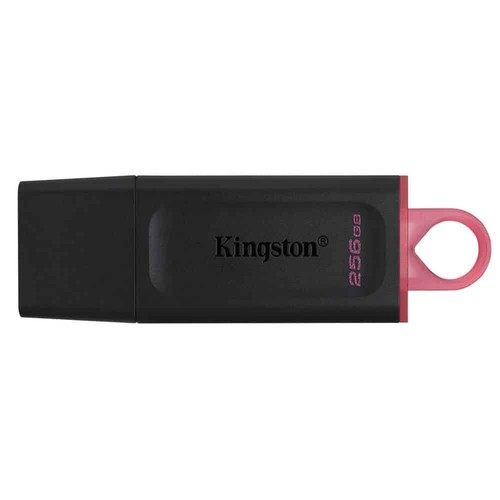 Kingston DataTraveler Exodia unità flash USB 3.2 256 GB DTX/256 GB