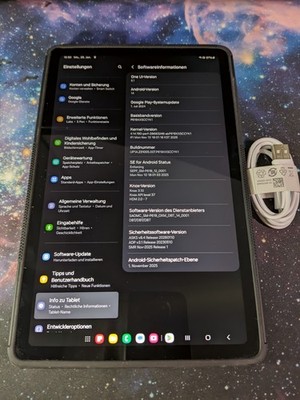 Samsung Galaxy Tab S6 Lite (2022) SM-P619, 128GB, Wi-Fi + 4G neuwertig