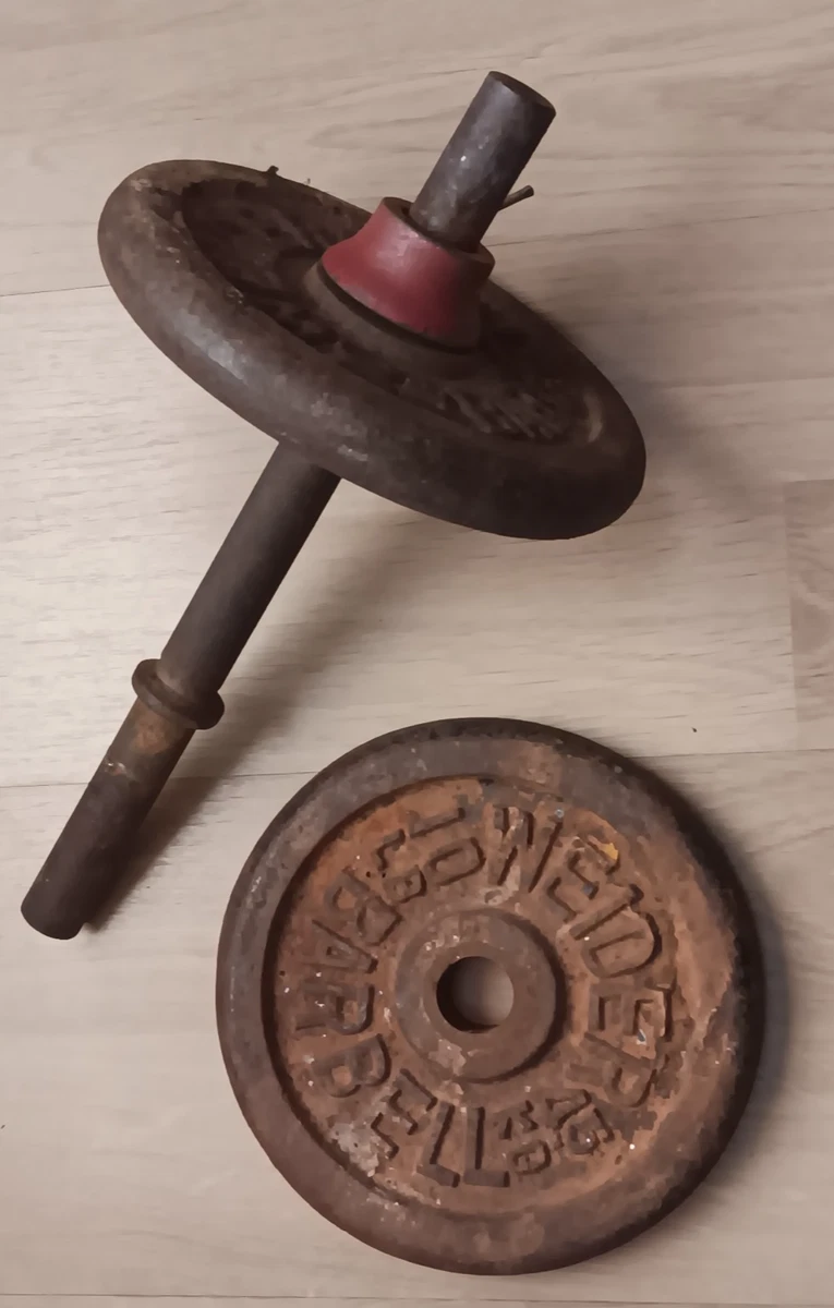 Weider BARBELL 5 Pound Standard Plates for Sale in Itasca, IL - OfferUp