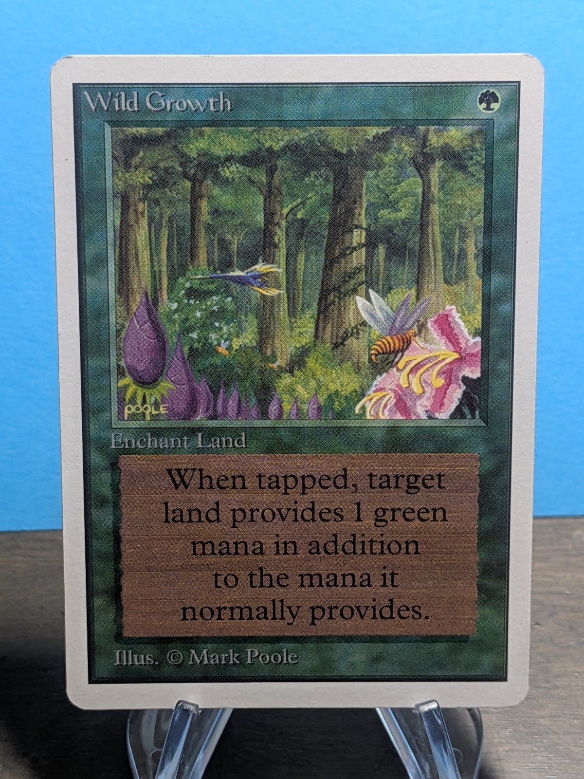 Wild Growth - MTG Unlimited - Magic the Gathering