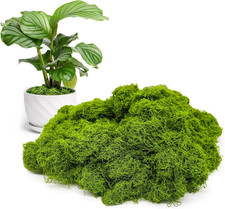 Fake Green Moss for Potted Plants Indoor, 5.3oz Artificial Moss for Crafts, Faux