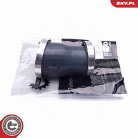 Esen Skv Ladeluftschlauch 43SKV179 FüR Opel Insignia Country Tourer G09 Sports