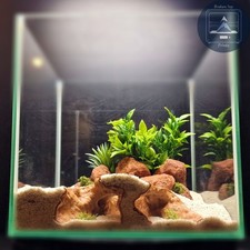 Reef Cave Aquarium and Terrarium Decor: for Fish, Shrimp, and Reptiles