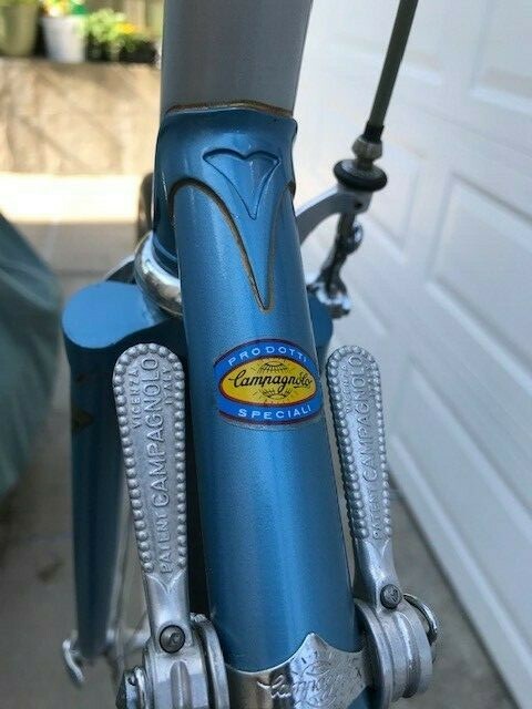 raleigh まとめ売り 楽天市場】店頭受取限定 ラレー RALEIGH 【限定特価】Club Sport-S