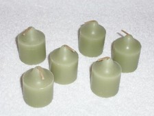 Partylite Wild Fern Votives -- RETIRED
