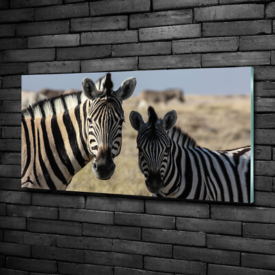 Wandbild aus Plexiglas  Druck auf Acryl 100x50 Tiere Zwei Zebras