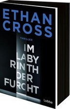Im Labyrinth der Furcht: Thriller. Ein neuer ...