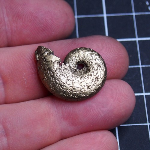 28mm Ammonite Pyrite Jurassic Dino Fossil France lot Golden 1871 - Picture 4 of 9