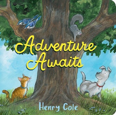 Adventure Awaits - board book Cole, Henry