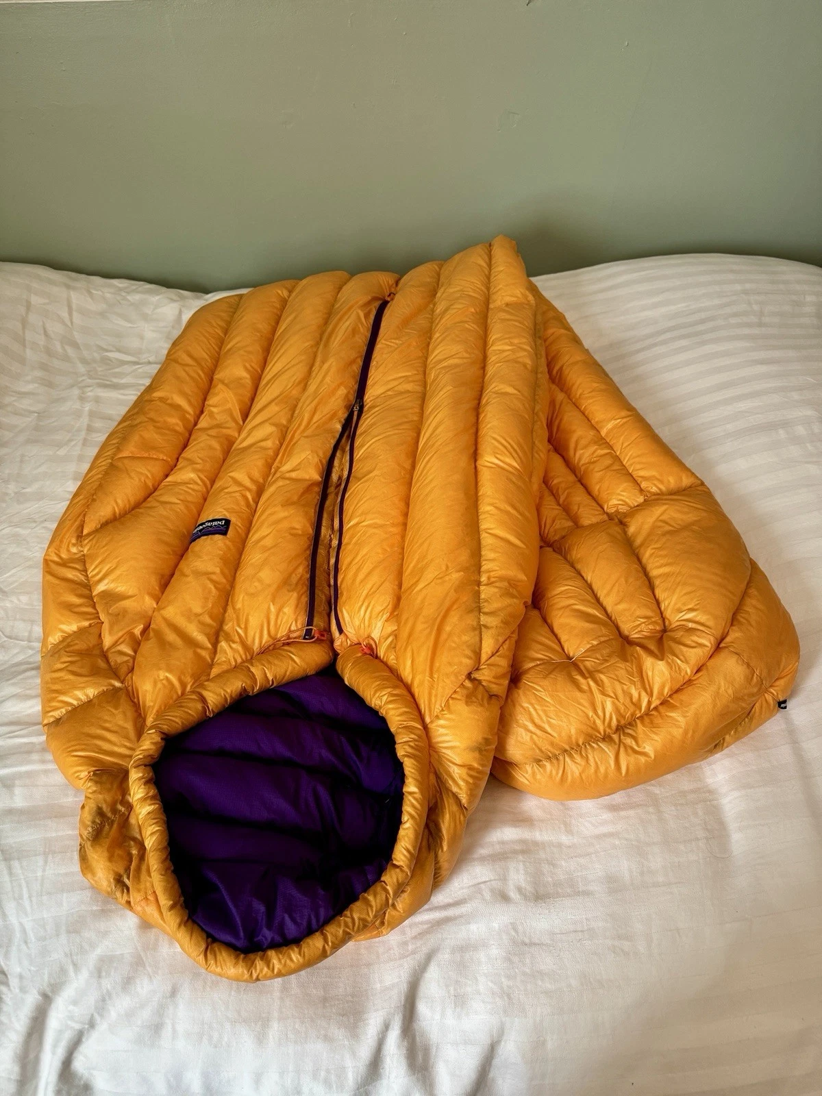 Patagonia 30-degree Down Sleeping Bag - Long - 850 Fill