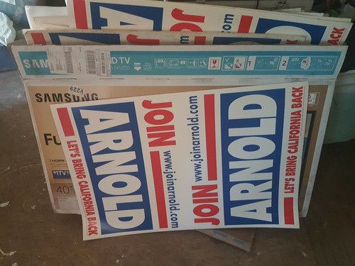 Arnold Schwarzenegger 3ftx2' Campaign Election Sign Governor California -DEFECT! - Picture 2 of 10