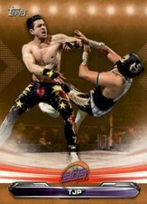 2019 Topps WWE Raw Bronze Parallel You Pick Complete Your Set  AEW NXT ROH TNA