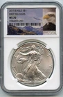 2015 P "First Release" American Silver Eagle Dollar (MS 70)⭐194⭐V5⭐