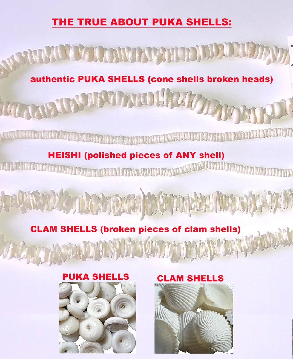 Sold at Auction: Pueblo-Style, Pueblo-Style, White Shell Necklace, Early  1900's