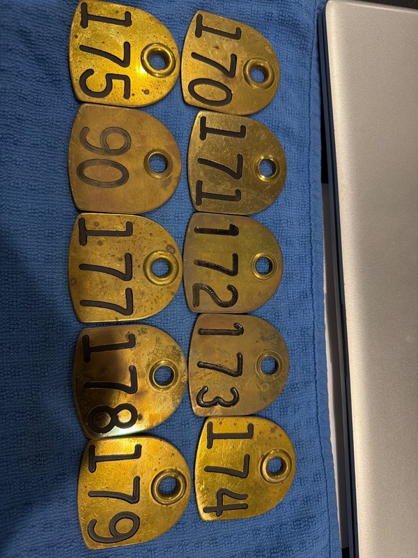 Cattle Tag Cow Vintage Solid Brass Franklin Serum Co. DOUBLE SIDED 113