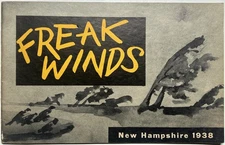 1938 FREAK WINDS NEW HAMPSHIRE HURRICANE FLOOD FIRE PHOTO BOOK CUMMINGS RARE NH!