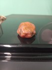 Lake Superior Agate Minnesota Rough Lapidary Gemstone .49oz — photo 3