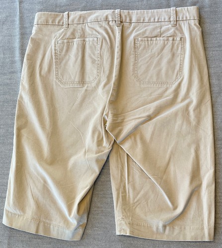 Pantalones cortos chinos de algodón elástico 2024 VINCE 16 ajuste 14W 16W Latte $228 - Imagen 3 de 5