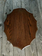 OAK WHITETAIL DEER SHED ARROWHEAD PLAQUE ANTLER TAXIDERMY SHOULDER MOUNT TROPHY 