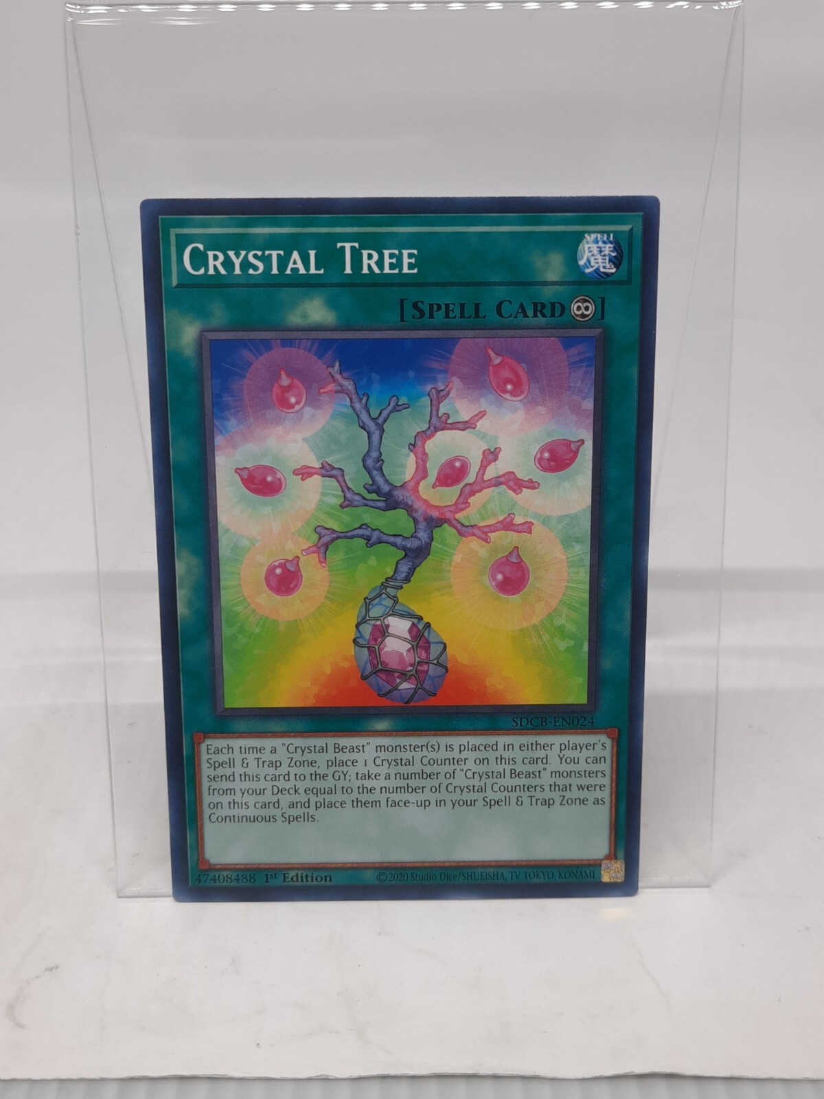 Crystal Tree SDCB-EN024 Yu-Gi-Oh! Card 1st Edition Near Mint