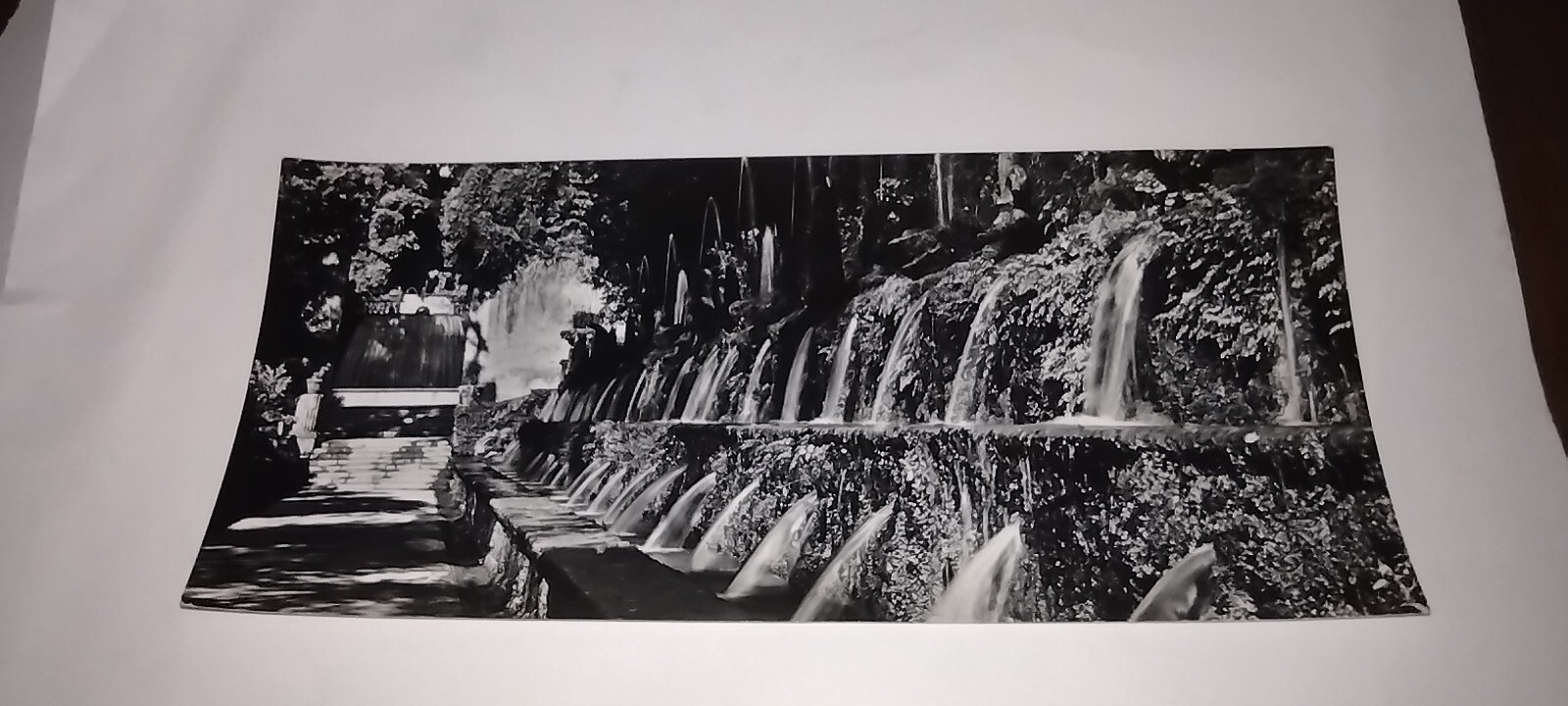 Picture 9 of 12
