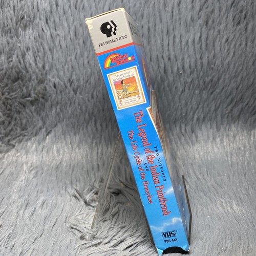 Reading Rainbow VHS The Legend of the Indian Paintbrush Lifecycle of Homeybee - Bild 3 von 8