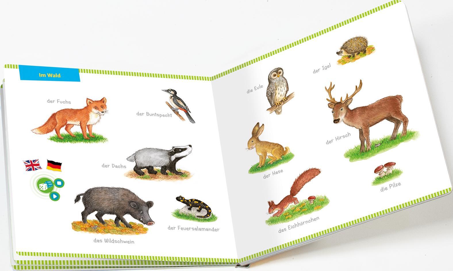 Thumbnail - Irmtraut Teltau Bookii® Mein Bildwörter-buch Tiere