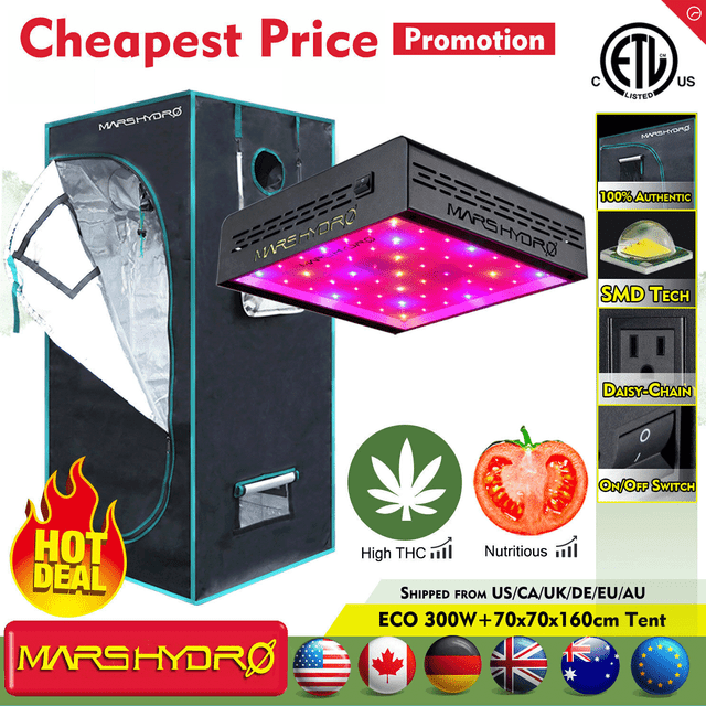 Mars Hydro ECO 300W Led Grow Light Veg Flower Plant +2'x2' Indoor Grow Tent Kit