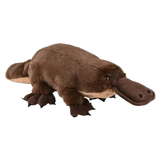 s-l1200.png