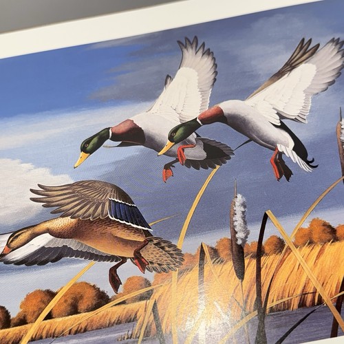 1987 R. L. Kothenbeutel Autumn Trio Pronts signiert #10119/20000 COA Mallards - Bild 3 von 23