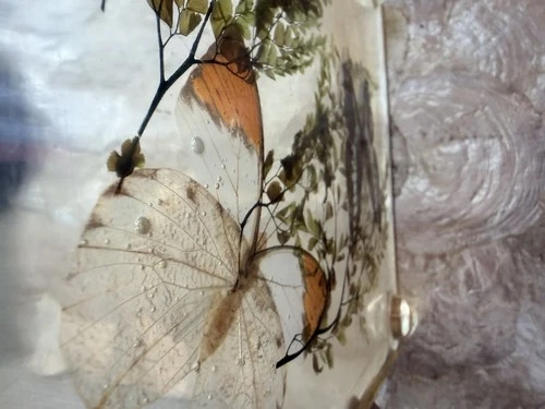 Vintage Lucite Resin Butterfly Fern Specimen Trivet Display 8in MCM Decor image 10