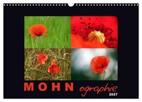 "Calendar 2027 · US Version · Mohnography (Wall Calendar 2027 17\" × 12\" Landscape"