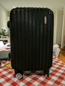 overhead carry on luggage