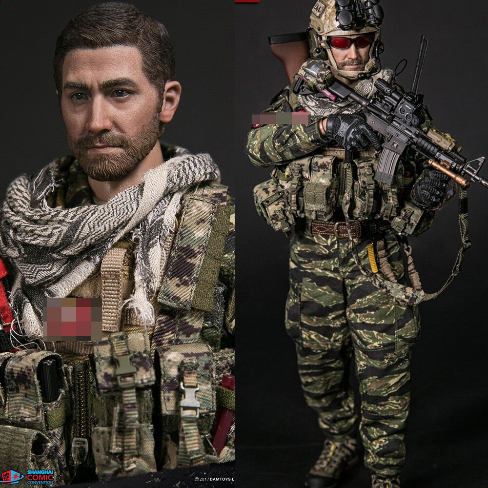 DAMTOYS NSWDG 1:6 Action Figure Collectible Doll Model 78049