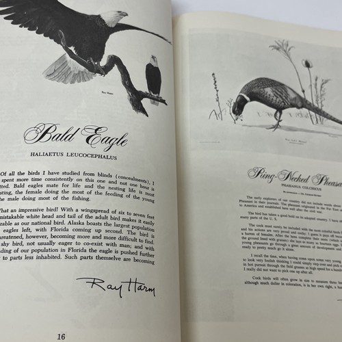 The Ray Harm Collection Exhibition Booklet 1971 American Eagle Artwork Sketches - Picture 16 of 17