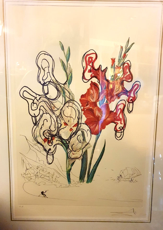 Salvador Dali ,Lithographie "Gladiolus cum aurium.." ,Künstlerabzug ,1972 - Bild 3 von 4
